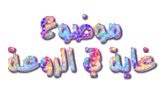 جميع اصدارات Adobe Photoshop الداعمة للعربية ( 7 - 8CS - CS2 - CS3 - CS4 ) 646503